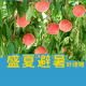 2026盛夏避暑好禮贈