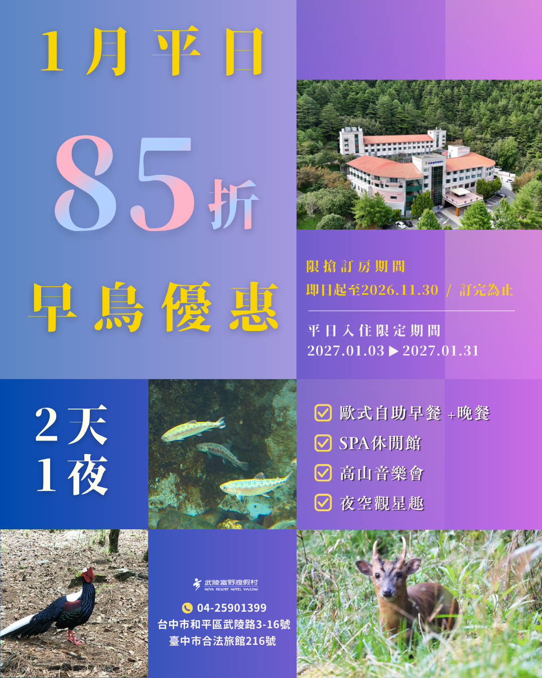 1月早鳥優惠85折