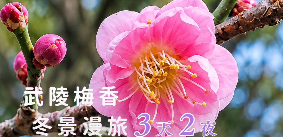 武陵梅香3天2夜